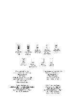 User manual Alpine CDA-105Ri 