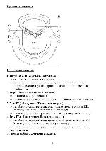 User manual ArtDio AMP-232 