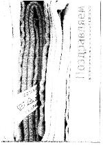 Инструкция Bork IS NVP 1024 BE 