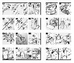 User manual BOSCH BSG-81885 