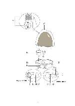 User manual Delonghi UH-700M 