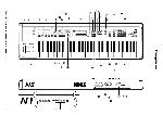 Инструкция Korg N5EX 