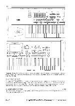 User manual Korg PA-1X 