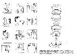 User manual Moulinex 143 