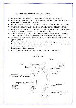 User manual ORION ORK-0019 