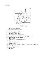 User manual Rolsen RN-6257 Inesse 