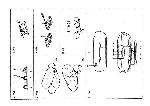 User manual Sanyo M-7027F 