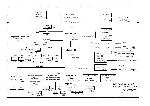 Schematic Compaq NX6110