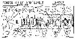 Schematic Fender SUPER 5F4