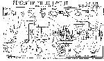 Schematic Fender TREMOLUX 5E9A