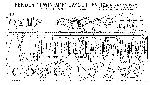 Schematic Fender TWIN 5D8