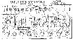 Schematic Fender TWIN 5E8A