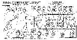 Schematic Fender TWIN 5F8