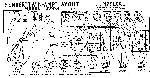 Schematic Fender TWIN 5F8A