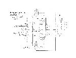 Schematic Mesa Boogie LONESTAR