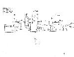 Schematic Mesa Boogie NOMAD45