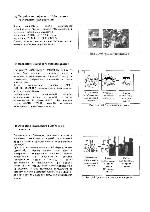 Сервисная инструкция Panasonic NV-M40, NV-M3000, NV-M9000, MS4, RUS-TRAINING