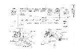 Сервисная инструкция Panasonic UF-A8200