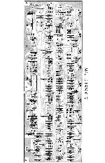 Service manual Peavey CLASSIC VT