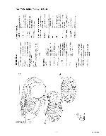 Сервисная инструкция Philips AZ-1203, AZ-1208