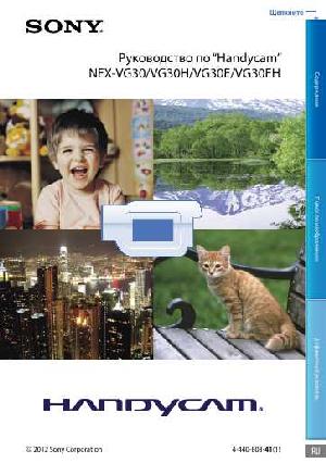 Инструкция Sony NEX-VG30 (handycam)  ― Manual-Shop.ru