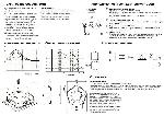 User manual Sony XM-D1000P5 