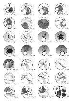 User manual Tefal GV-8460 