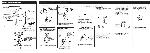 User manual Toshiba PLK-G26 